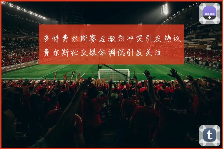 多特费尔斯赛后激烈冲突引发热议费尔斯社交媒体调侃引发关注