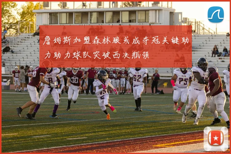 詹姆斯加盟森林狼或成夺冠关键助力助力球队突破西决瓶颈